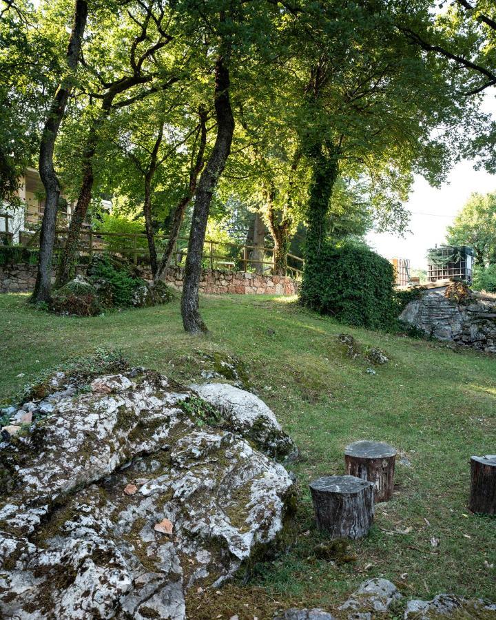 La Casetta, Appartamento Con Vista Lago E Montagne 산 제노 디 몬타냐 외부 사진